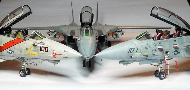 F-14s